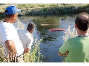 Ceyhan Nehri'ne Uçan Bayanı İşçiler Kurtardı