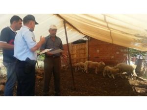 Polisten Hayvan Sahiplerine Broşürlü Dolandırıcılık Uyarısı