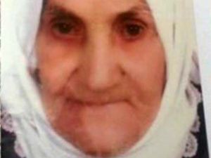 Ilgaz'da Kaybolan 83 Yaşındaki Kadını Arama Çalışması Sonlandırıldı
