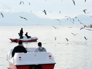 Su bisikletiyle su kuşlarını besliyor