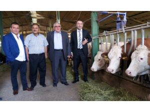 "Doğu Anadolu'da Hayvan Borsası Kurulmalı"