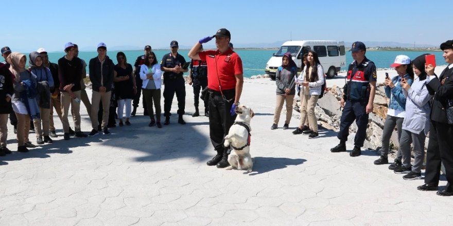 Jandarma teşkilatının gözbebeği eğitimli köpekler hayran bıraktı