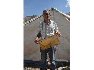 Çözüm Süreciyle Köylerine Dönen Bal Üreticileri Devletten Destek Bekliyor