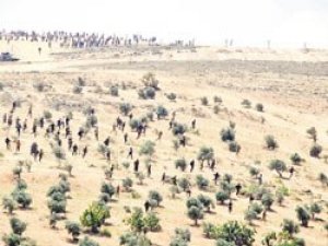 TSK: Atlı binlerce kaçakçı geri püskürtüldü