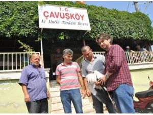 Yaralı Leyleğe İlk Yardım