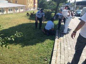 Uşak’ta Polisten Kaçan Araç Sürücüsü Cinayet Zanlısı Çıktı