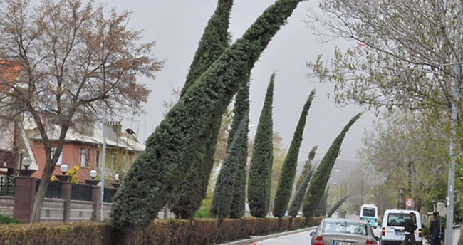 Konya’ya fırtına uyarısı!