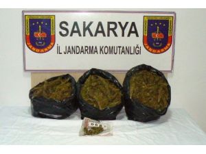 Sakarya'da 12 Kilogram Esrar Ele Geçirildi