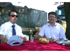 Tavas Ovası'nın İlk Patates Hasadı Başladı