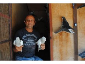 "Dünyaya Akan Kanın Durması İçin Patara Meclisi'nden Çağrı Yapılmalı"