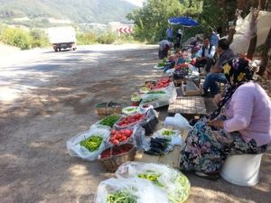 Bursa-keles Yolu Doğal Ürün Cenneti
