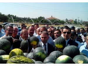 Kazan Kavun Pazarı Açıldı