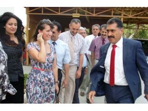 Çukurova Kaymakamı Mehmet Ali Özkan Görevine Başladı