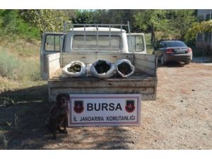 Seyir Halindeki Kamyonette 25 Kilo Esrar Ele Geçirildi