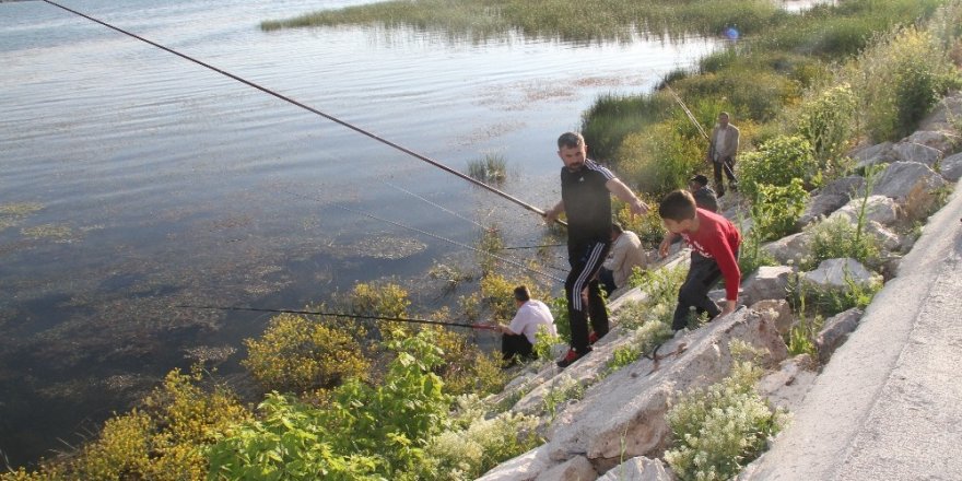 Beyşehir Gölü kıyılarında olta avcılarının meskeni oldu
