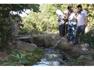 Kokan Dereyi Kaymakama Şikayet Ettiler