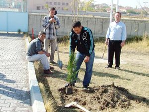 Kulu'da 40 kişiye fidan dikme cezası