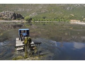 Kuğulu Park, Yapılan Çalışma İle 50 Bin Metrekara Genişleyecek