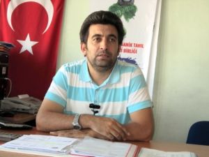 'Çiftçilerimiz Klasik Tarım Ürünlerinden Organik Tarıma Yönelmeli'