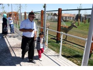 Sıcaktan Bunalan Hayvanlar Suyla Serinletiliyor