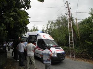 Elektrik Akımına Kapıldığı Direkte Asılı Kaldı