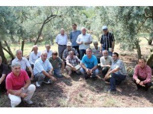 Tarla Okulunda Doğru Çiftçiliği Öğreniyorlar