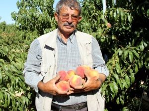 Sanayi Şehri Kayseri'de Develi Tarımsal Yatırımlarla Dikkati Çekiyor