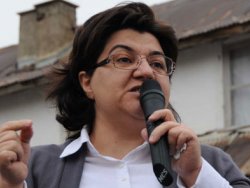 BDP Emine Ayna'yı disipline verdi