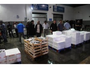 Sezonun İlk Günü Balıkçılar Fırtınaya Takıldı