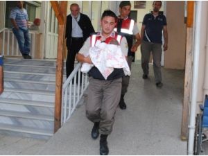 Kötü Muamele Gören 3 Aylık Bebek Ailesinden Alınıp Yuvaya Yerleştirildi