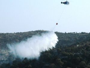 Bodrum’da Çıkan Orman Yangınında Sabotaj Şüphesi