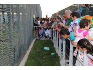 Harikalar Diyarı’nı Bir Günde 42 Bin Kişi Ziyaret Etti