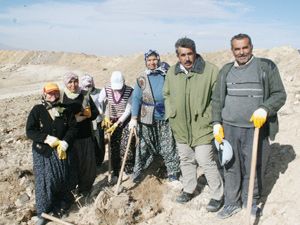 Karaman'da ağaçlandırma seferberliği
