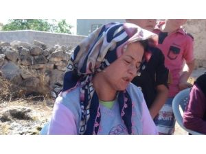 Anne Yeliz Sola: Elimden Bir Şey Gelmedi