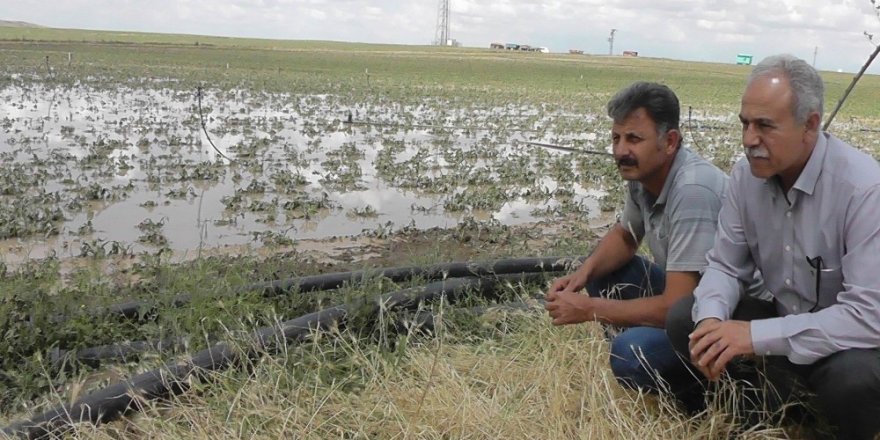 Kulu’da dolu yağışı sonrası hasar tespiti yapıldı