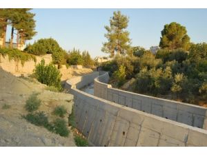 Belediye Başkanının 'Dedikodu' Tepkisi