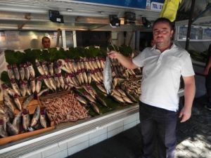 Balık Tezgahları Yeniden Şenlendi