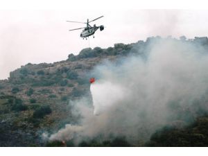 Bodrum'da Orman Yangınları