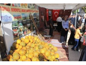 Sivas'ta İlçeler Sergisi Yoğun İlgi Gördü