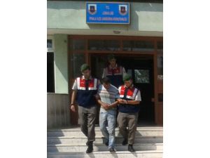 Jandarma Sınırda 4 Bin 490 Adet Kaçak Akıllı Cep Telefonu Ele Geçirdi