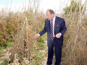 Yerli ürünlerinin boşa gitmemesi gerekiyor