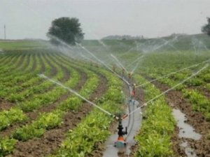 Ereğli'ye kapalı sulama sistemi kararı