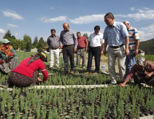 Meralar vatandaşın hizmetine sunulacak