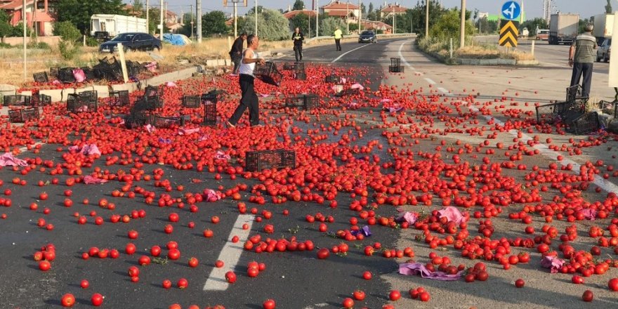 Karayolu domates tarlasına döndü