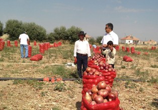 Ereğli İlçe Müdürü Özgüven tarlaları inceledi