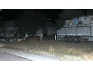 Arı Kovanlarından 53 Bin Paket Kaçak Sigara Çıktı
