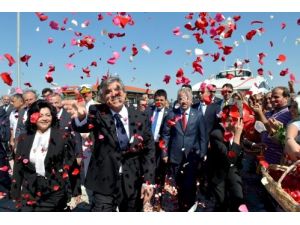 Cumhurbaşkanı Gül, Yalova Gezisi Fotoğraflarını Paylaştı