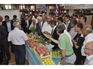 İnegöl'de Tarım Fuarı Açıldı