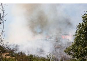 Korkuteli’nde Makilik Alanda Yangın Çıktı
