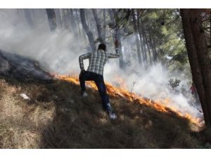 Habibi Neccar Dağları'nda Yangın
